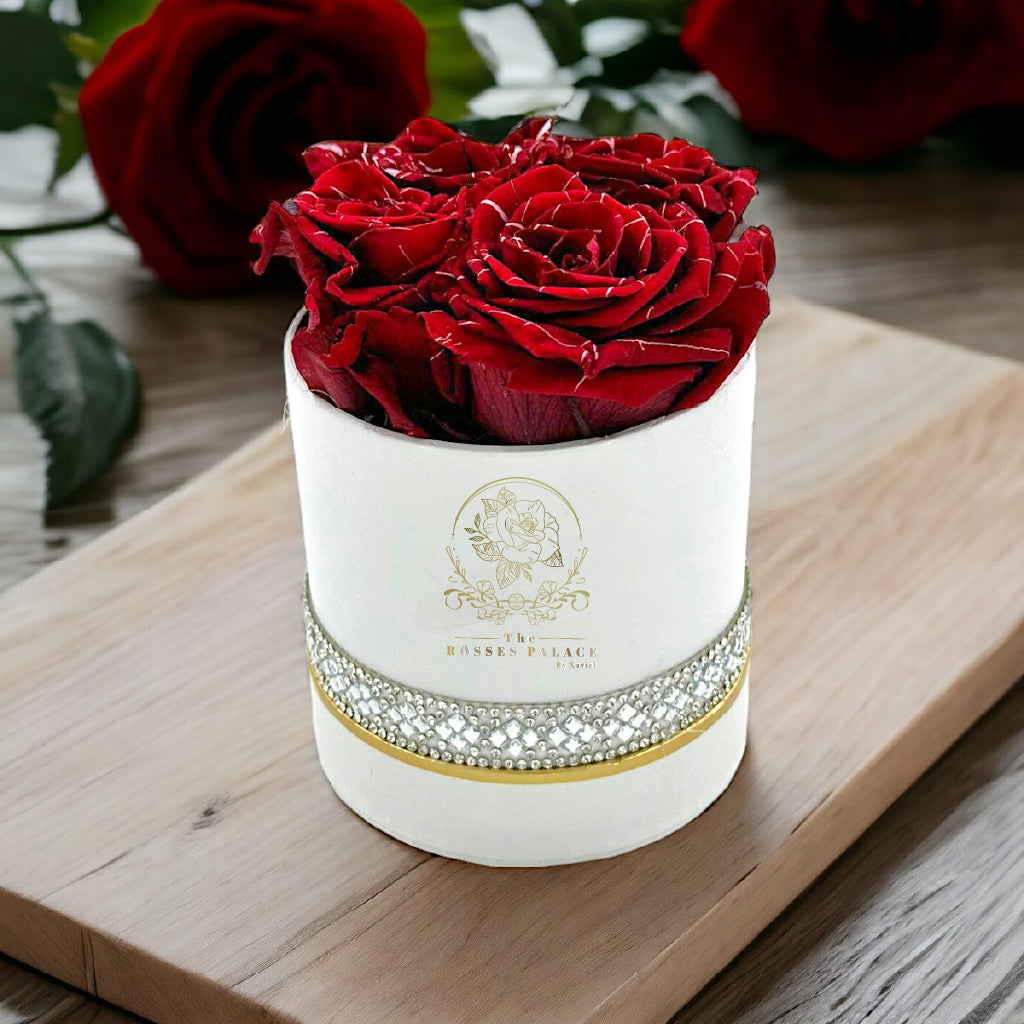 Tifany Simple Box (L)