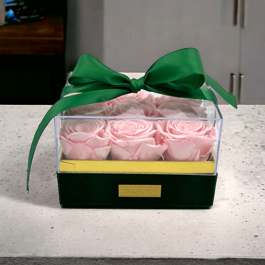 Splendor Gift (L)
