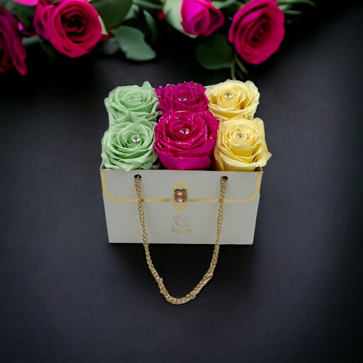 Glamorous Floral Chest of Bratz (L)