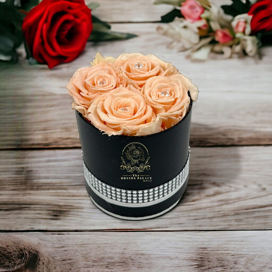 Spring splendor simple black box (L)